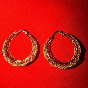 Elegant Gold Hoop Earrings